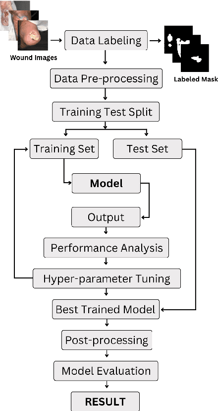 Figure 1 for Deep Learning for Automated Wound Classification And Segmentation