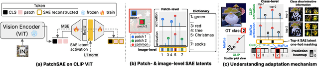 Figure 1 for Sparse autoencoders reveal selective remapping of visual concepts during adaptation