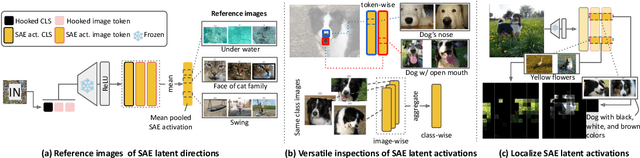 Figure 3 for Sparse autoencoders reveal selective remapping of visual concepts during adaptation