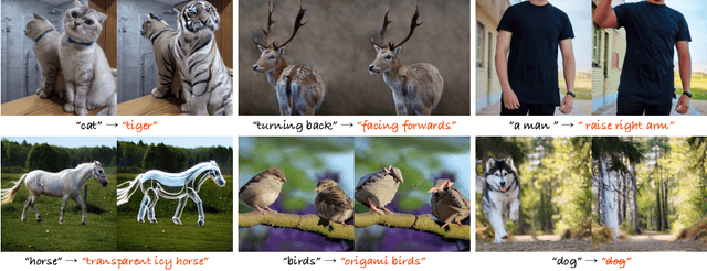 Figure 1 for FreeDiff: Progressive Frequency Truncation for Image Editing with Diffusion Models