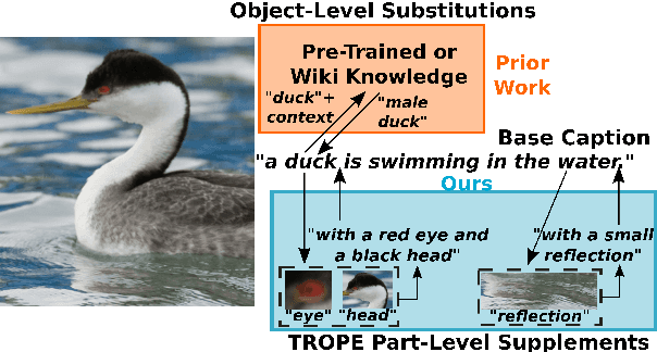 Figure 1 for TROPE: TRaining-Free Object-Part Enhancement for Seamlessly Improving Fine-Grained Zero-Shot Image Captioning