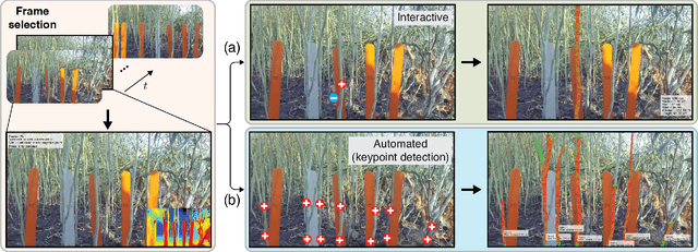 Figure 3 for Measure Anything: Real-time, Multi-stage Vision-based Dimensional Measurement using Segment Anything