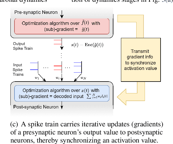 Figure 4 for Sign Gradient Descent-based Neuronal Dynamics: ANN-to-SNN Conversion Beyond ReLU Network