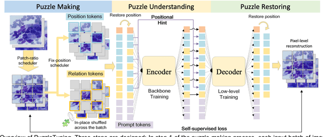 Figure 3 for PuzzleTuning: Explicitly Bridge Pathological and Natural Image with Puzzles