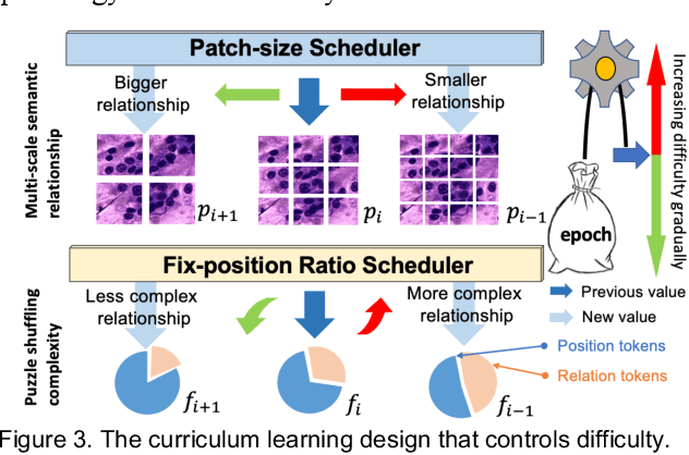 Figure 4 for PuzzleTuning: Explicitly Bridge Pathological and Natural Image with Puzzles