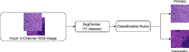 Figure 1 for A Multi-Stage Auto-Context Deep Learning Framework for Tissue and Nuclei Segmentation and Classification in H&E-Stained Histological Images of Advanced Melanoma