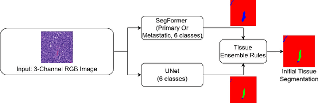 Figure 3 for A Multi-Stage Auto-Context Deep Learning Framework for Tissue and Nuclei Segmentation and Classification in H&E-Stained Histological Images of Advanced Melanoma