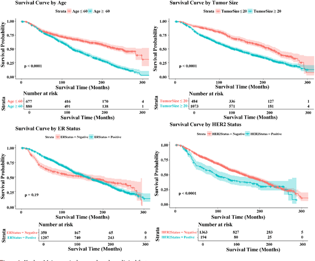 Figure 2 for Predicting Breast Cancer Survival: A Survival Analysis Approach Using Log Odds and Clinical Variables