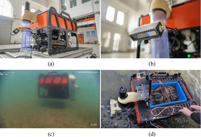 Figure 3 for Towards the in-situ Trunk Identification and Length Measurement of Sea Cucumbers via Bézier Curve Modelling