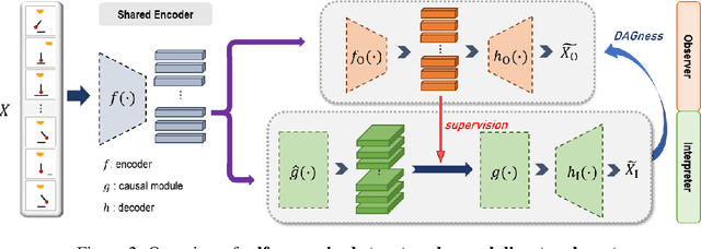 Figure 2 for SCADI: Self-supervised Causal Disentanglement in Latent Variable Models