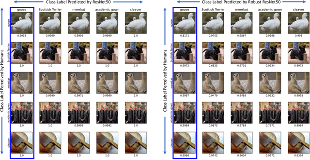 Figure 4 for Exploring Geometry of Blind Spots in Vision Models