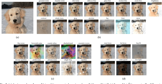 Figure 3 for The Robustness of Computer Vision Models against Common Corruptions: a Survey