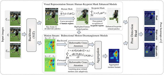 Figure 1 for Optimizing Human Pose Estimation Through Focused Human and Joint Regions