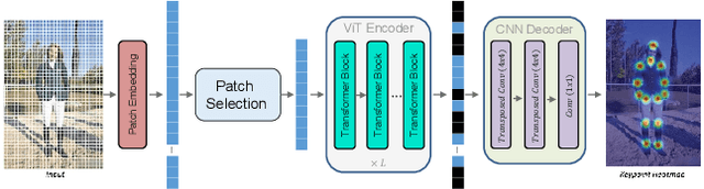 Figure 1 for Efficient Vision Transformer for Human Pose Estimation via Patch Selection