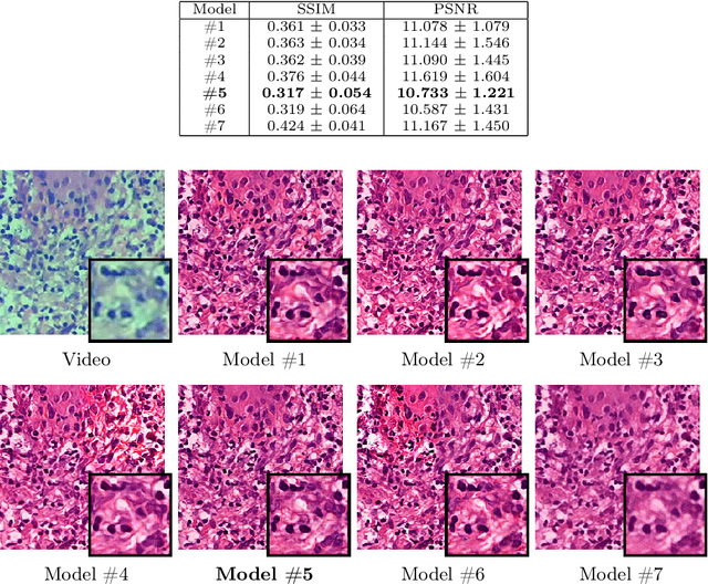 Figure 3 for Rethinking Histology Slide Digitization Workflows for Low-Resource Settings