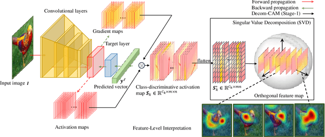 Figure 1 for Decom--CAM: Tell Me What You See, In Details! Feature-Level Interpretation via Decomposition Class Activation Map