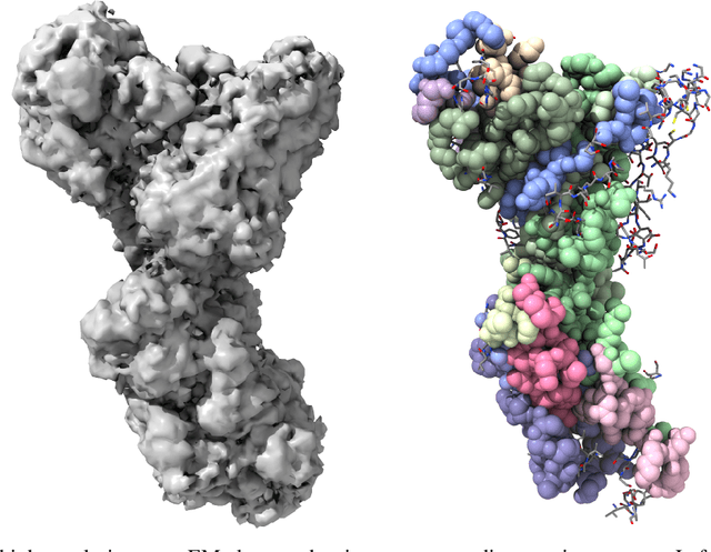 Figure 1 for Beyond Current Boundaries: Integrating Deep Learning and AlphaFold for Enhanced Protein Structure Prediction from Low-Resolution Cryo-EM Maps