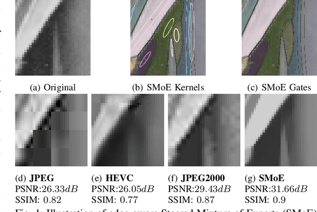 Figure 1 for Adaptive Segmentation-Based Initialization for Steered Mixture of Experts Image Regression