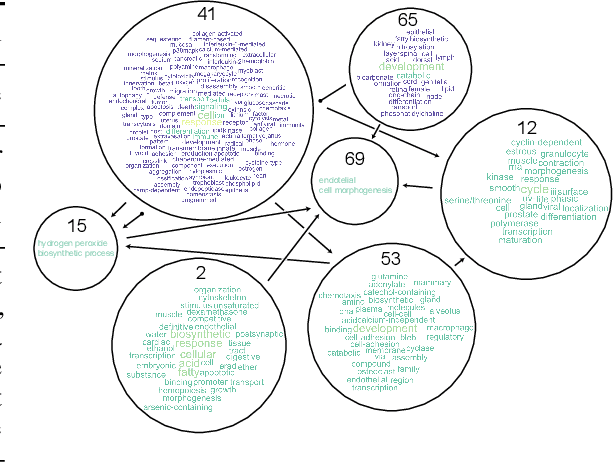 Figure 3 for Interpretable Causal Representation Learning for Biological Data in the Pathway Space