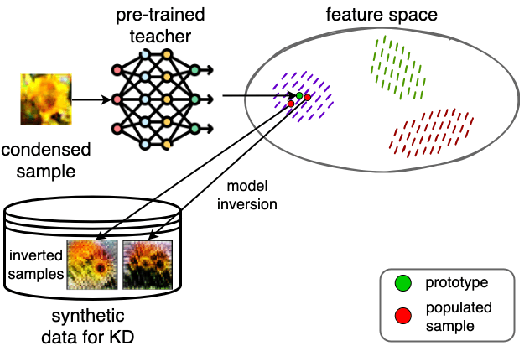 Figure 1 for Condensed Sample-Guided Model Inversion for Knowledge Distillation