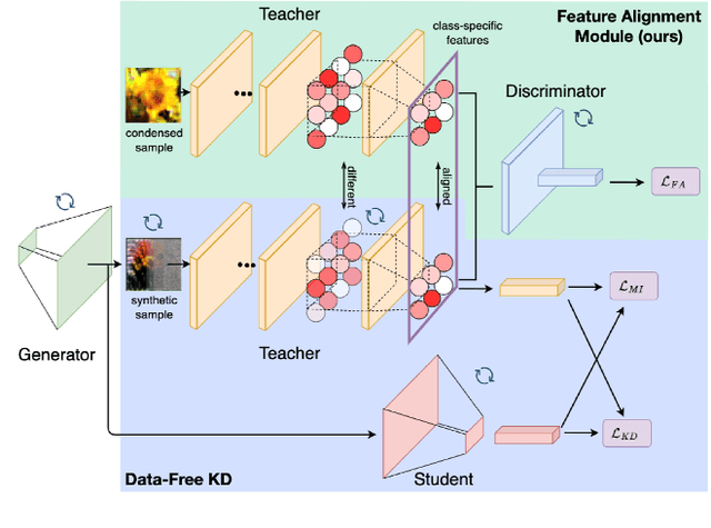 Figure 3 for Condensed Sample-Guided Model Inversion for Knowledge Distillation