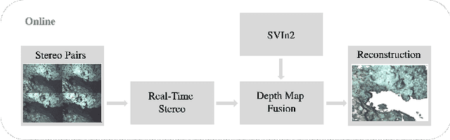 Figure 3 for Real-Time Dense 3D Mapping of Underwater Environments