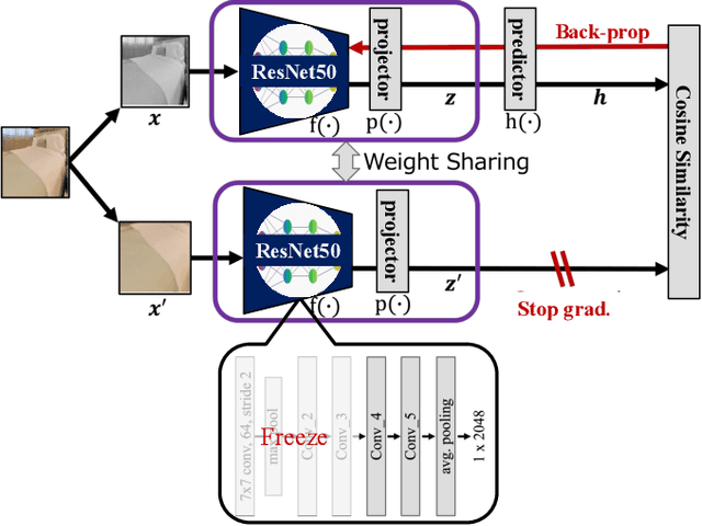 Figure 3 for Object Instance Retrieval in Assistive Robotics: Leveraging Fine-Tuned SimSiam with Multi-View Images Based on 3D Semantic Map