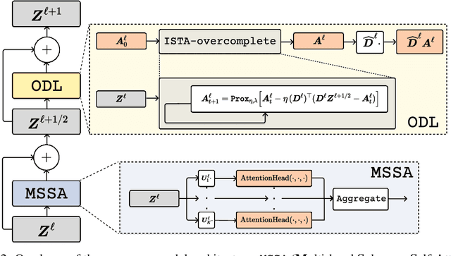 Figure 3 for Scaling White-Box Transformers for Vision