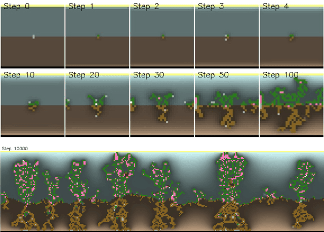 Figure 1 for Biomaker CA: a Biome Maker project using Cellular Automata