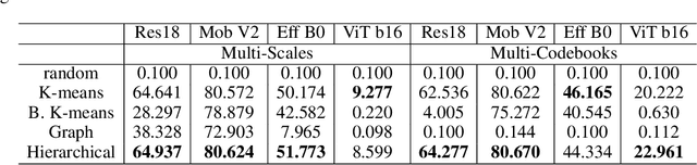 Figure 4 for Network Memory Footprint Compression Through Jointly Learnable Codebooks and Mappings