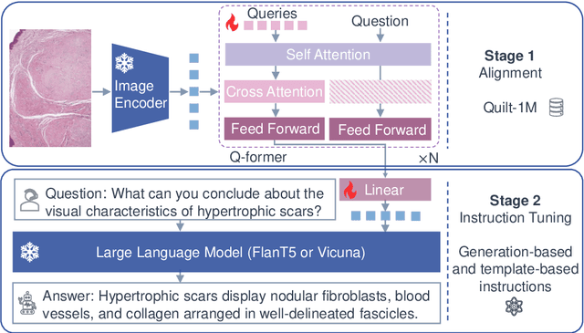 Figure 1 for Cost-effective Instruction Learning for Pathology Vision and Language Analysis