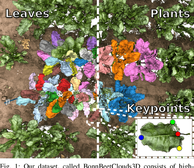Figure 1 for BonnBeetClouds3D: A Dataset Towards Point Cloud-based Organ-level Phenotyping of Sugar Beet Plants under Field Conditions