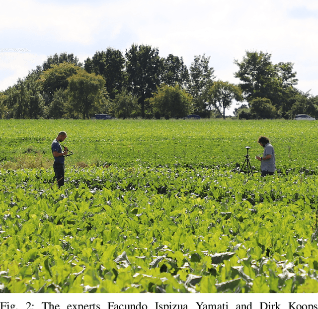 Figure 2 for BonnBeetClouds3D: A Dataset Towards Point Cloud-based Organ-level Phenotyping of Sugar Beet Plants under Field Conditions