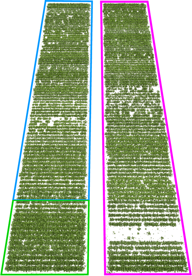 Figure 3 for BonnBeetClouds3D: A Dataset Towards Point Cloud-based Organ-level Phenotyping of Sugar Beet Plants under Field Conditions
