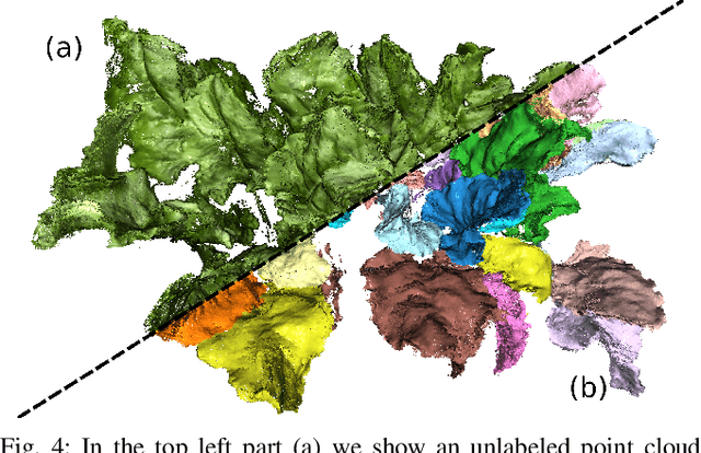 Figure 4 for BonnBeetClouds3D: A Dataset Towards Point Cloud-based Organ-level Phenotyping of Sugar Beet Plants under Field Conditions