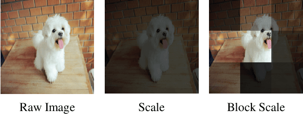 Figure 4 for Structure Invariant Transformation for better Adversarial Transferability