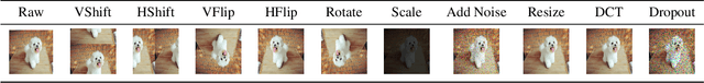 Figure 3 for Structure Invariant Transformation for better Adversarial Transferability