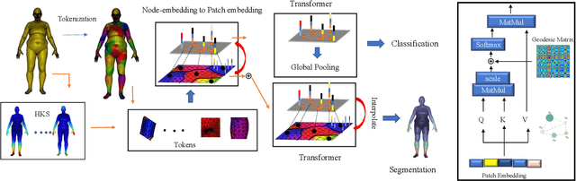 Figure 1 for A Recipe for Geometry-Aware 3D Mesh Transformers