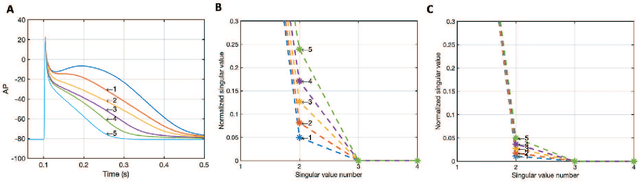 Figure 1 for A Singular-value-based Marker for the Detection of Atrial Fibrillation Using High-resolution Electrograms and Multi-lead ECG