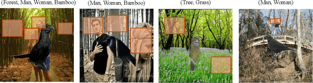 Figure 4 for Visual Data Diagnosis and Debiasing with Concept Graphs