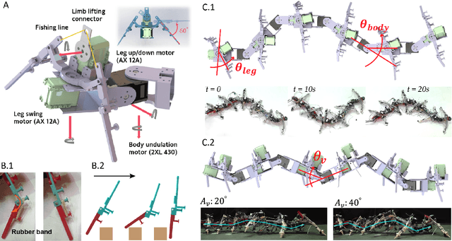 Figure 2 for Probabilistic approach to feedback control enhances multi-legged locomotion on rugged landscapes