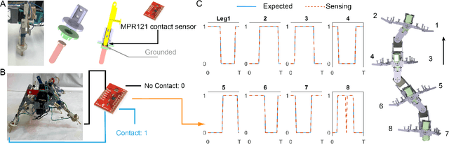 Figure 3 for Probabilistic approach to feedback control enhances multi-legged locomotion on rugged landscapes