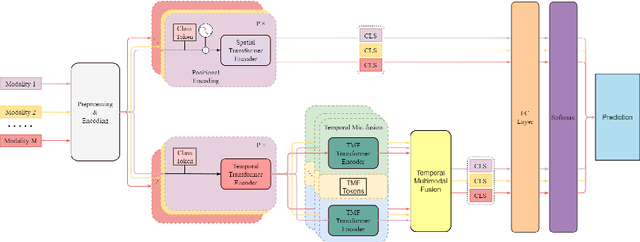 Figure 3 for Distilled Mid-Fusion Transformer Networks for Multi-Modal Human Activity Recognition