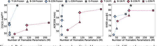 Figure 1 for Could Giant Pretrained Image Models Extract Universal Representations?