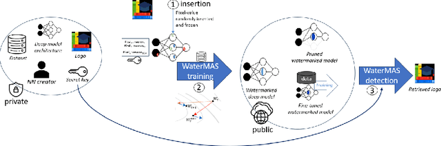 Figure 1 for WaterMAS: Sharpness-Aware Maximization for Neural Network Watermarking