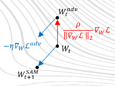 Figure 2 for WaterMAS: Sharpness-Aware Maximization for Neural Network Watermarking