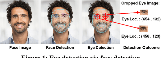 Figure 1 for Tri-Cam: Practical Eye Gaze Tracking via Camera Network