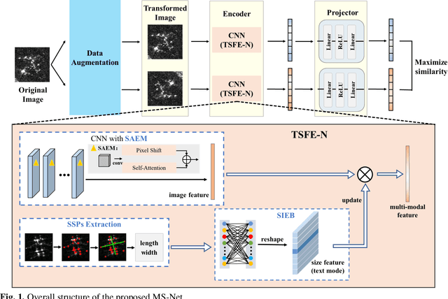 Figure 1 for MS-Net: A Multi-modal Self-supervised Network for Fine-Grained Classification of Aircraft in SAR Images