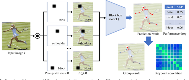 Figure 3 for XPose: eXplainable Human Pose Estimation