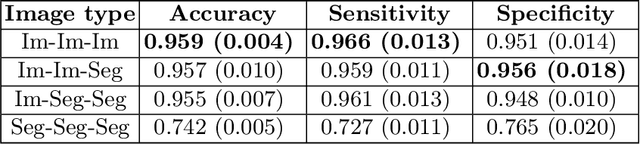 Figure 3 for An investigation into the causes of race bias in AI-based cine CMR segmentation